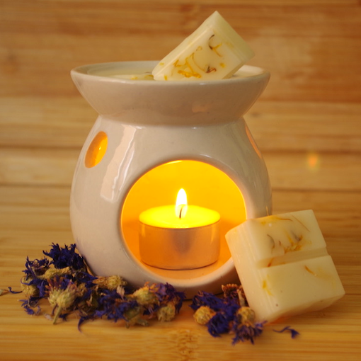Wax Melt Vintage Bookstore Product Image