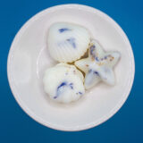 Marine Collection Wax Melts 1