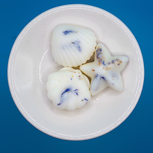 Marine Collection Wax Melts 1