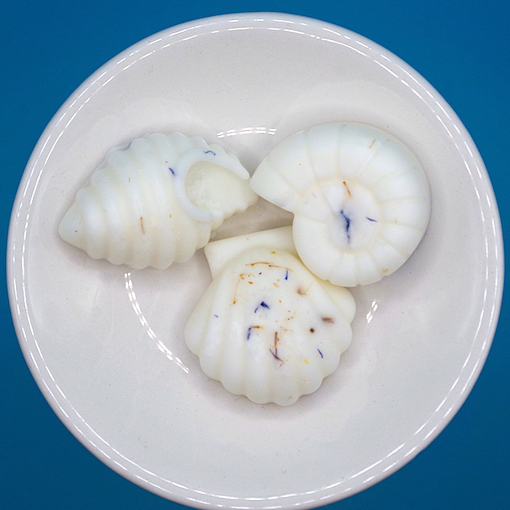 Marine Collection Wax Melts 2