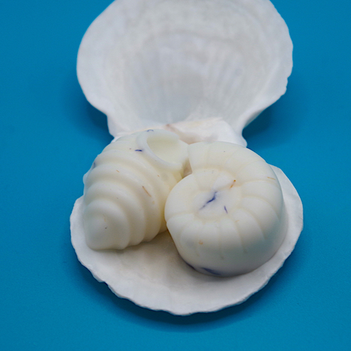 Marine Collection Wax Melts 5