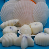 Marine Collection Wax Melts 7