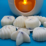 Marine Wax Melts 4