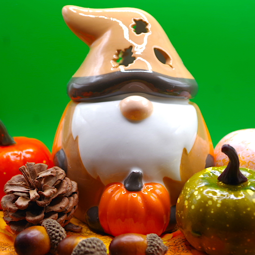 Autumn Gonk with pumpkin Warmer 4