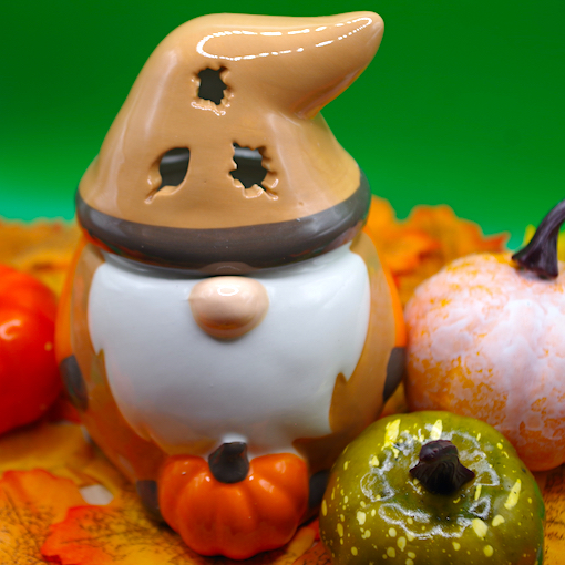 Autumn Gonk with pumpkin Warmer 5
