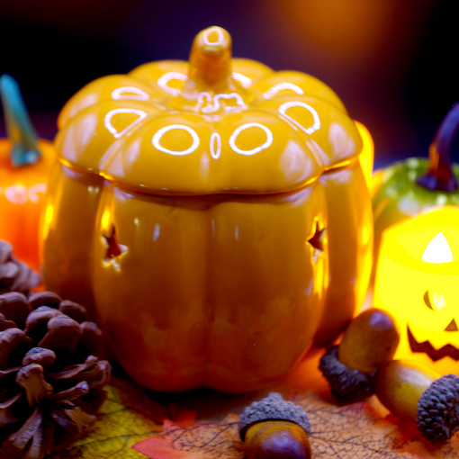 Pumpkin Warmer 1
