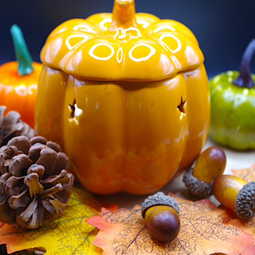 The Wax Warmer Collection