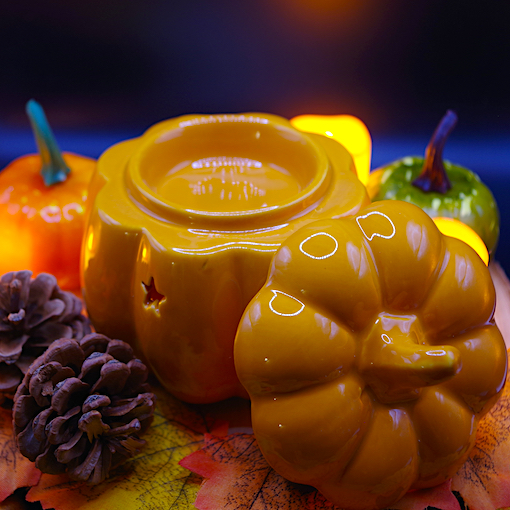 Pumpkin Warmer 3
