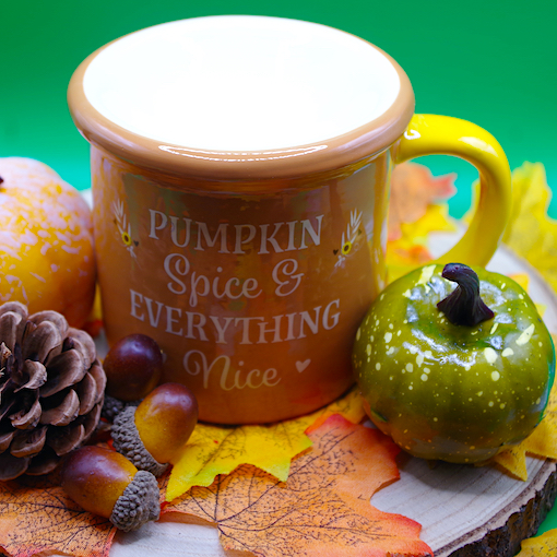 Pumpkin Spice Warmer 4
