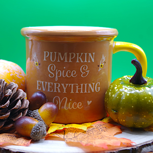 Pumpkin Spice Warmer 4